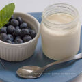 probiotic healthy recipes with vanilla yogurt